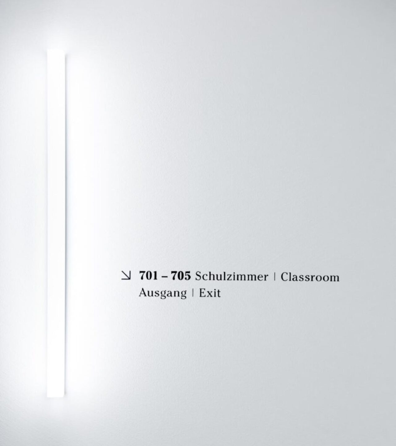 Lyceum_Alpinum_S_10_desktop_20220505_m_msr