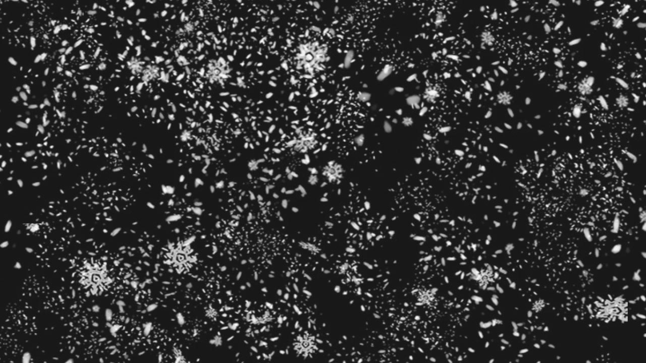 SZU_D_09_desktop_20220512_k_msr