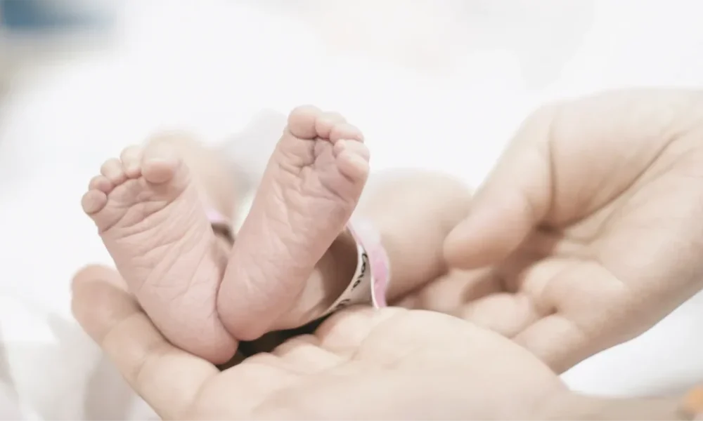 KSU_B_Beitragsbild_Desktop_20251210_m_ler