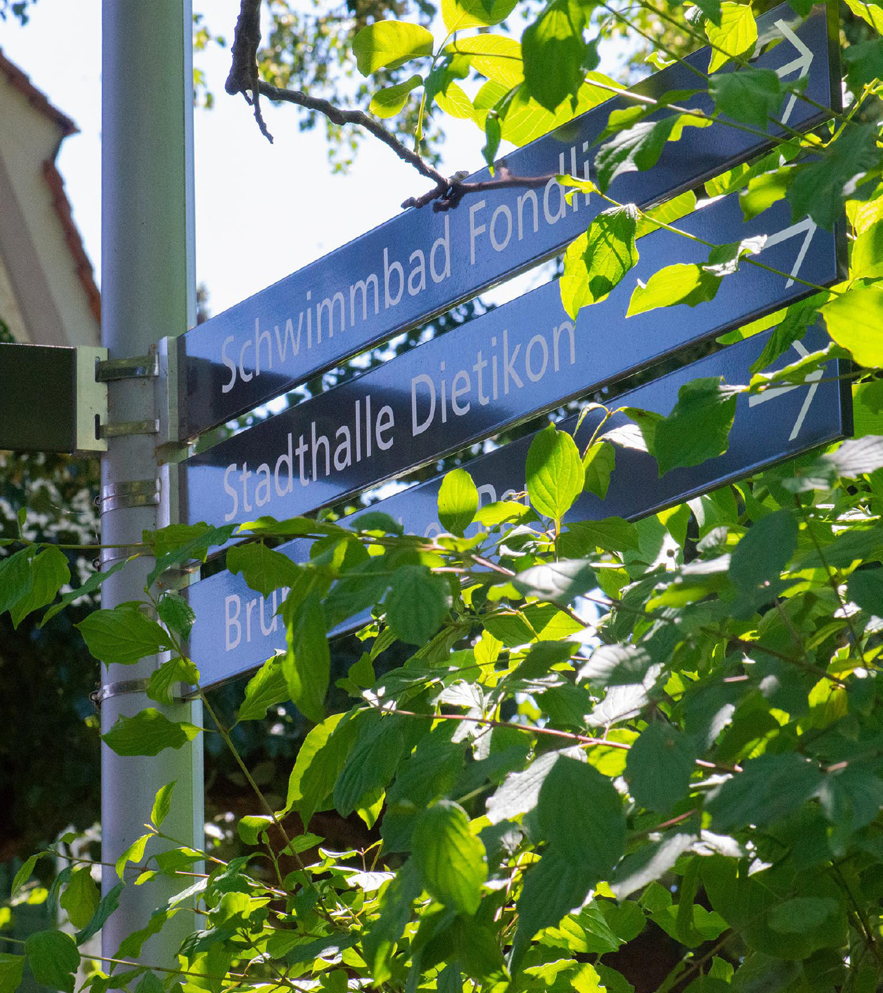 Dietikon_S_03_Desktop_20241217_m_ler