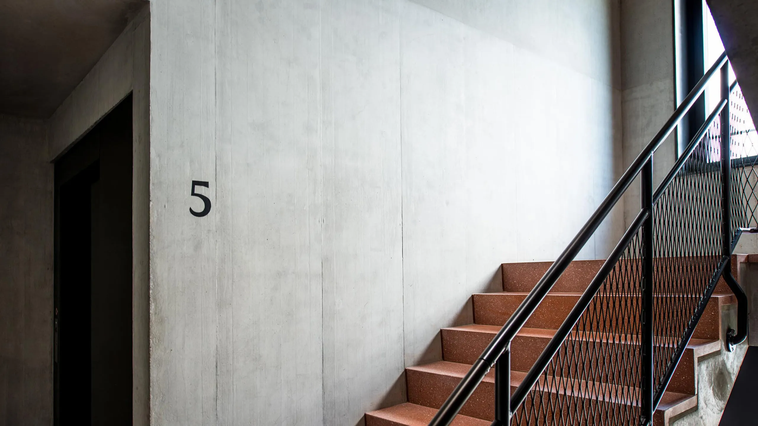 Aspholz_S_06_Desktop_20241217_m_ler